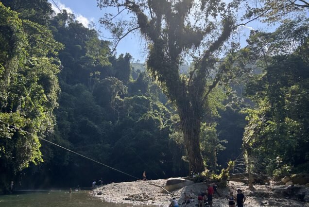 Pasadía Embalse Amani - Rio Manso